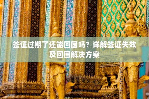 签证过期了还能回国吗？详解签证失效及回国解决方案