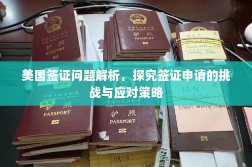 美国签证问题解析，探究签证申请的挑战与应对策略