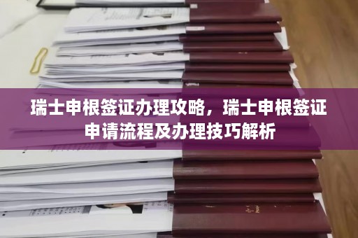 瑞士申根签证办理攻略，瑞士申根签证申请流程及办理技巧解析