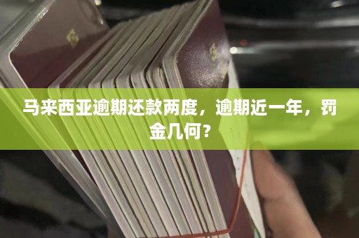 马来西亚逾期 *** 两度，逾期近一年，罚金几何？