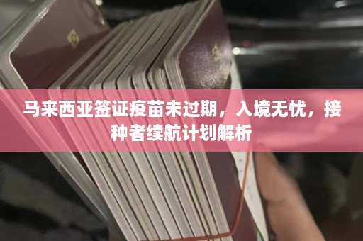 马来西亚签证疫苗未过期，入境无忧，接种者续航计划解析