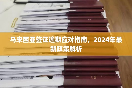 马来西亚签证逾期应对指南，2024年最新政策解析