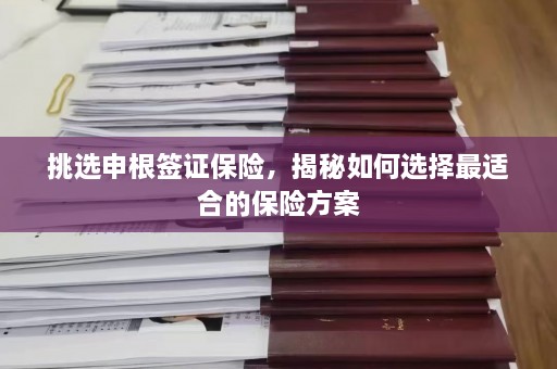 挑选申根签证保险，揭秘如何选择最适合的保险方案