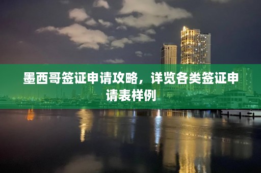 墨西哥签证申请攻略，详览各类签证申请表样例