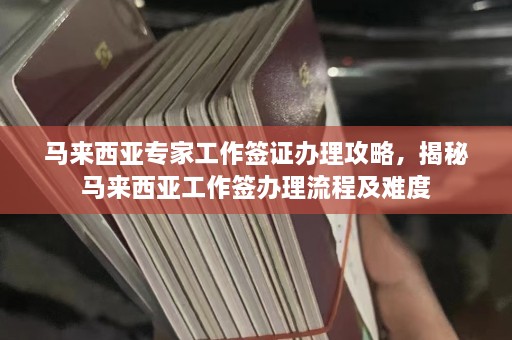 马来西亚专家工作签证办理攻略，揭秘马来西亚工作签办理流程及难度