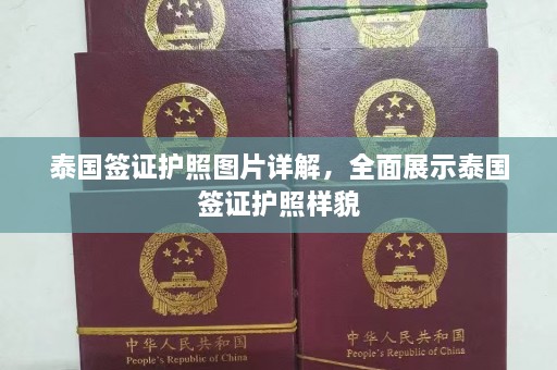 泰国签证护照图片详解，全面展示泰国签证护照样貌