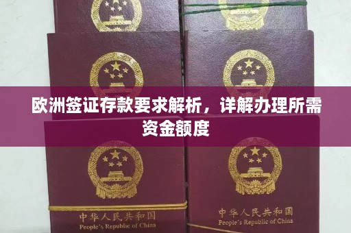 欧洲签证存款要求解析，详解办理所需资金额度