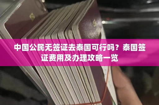 中国公民无签证去泰国可行吗？泰国签证费用及办理攻略一览