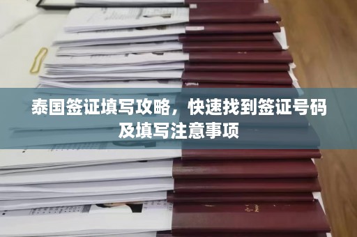 泰国签证填写攻略，快速找到签证号码及填写注意事项