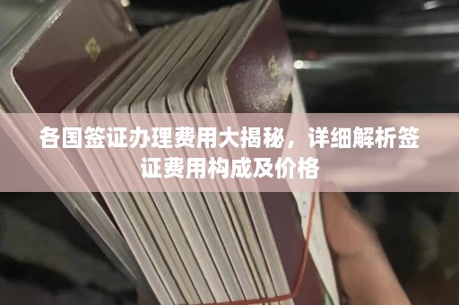 各国签证办理费用大揭秘，详细解析签证费用构成及价格