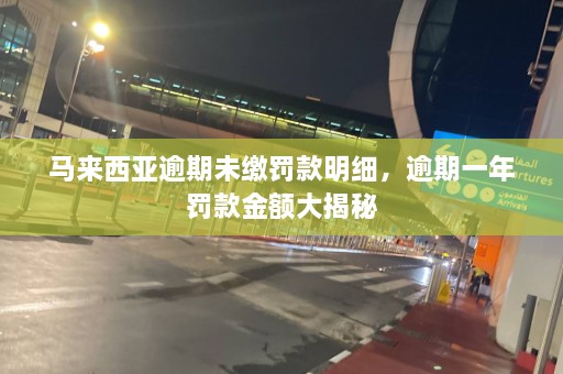 马来西亚逾期未缴罚款明细，逾期一年罚款金额大揭秘