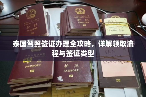 泰国驾照签证办理全攻略，详解领取流程与签证类型