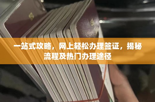 一站式攻略，网上轻松办理签证，揭秘流程及热门办理途径