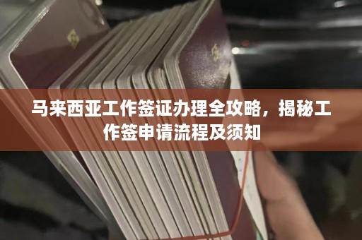 马来西亚工作签证办理全攻略，揭秘工作签申请流程及须知