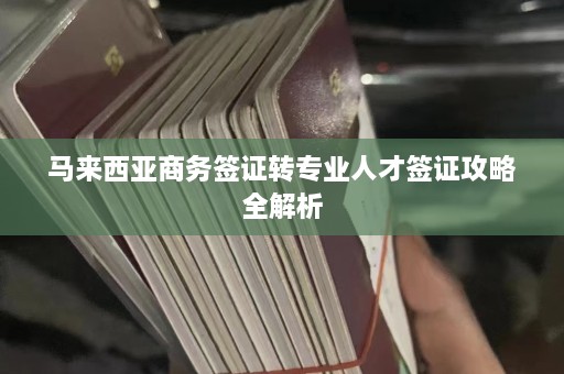 马来西亚商务签证转专业人才签证攻略全解析