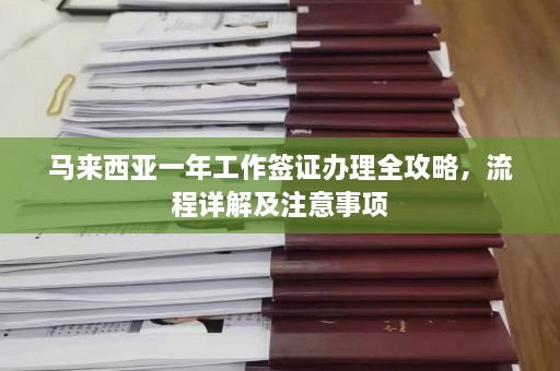 马来西亚一年工作签证办理全攻略，流程详解及注意事项