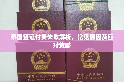 泰国签证付费失败解析，常见原因及应对策略