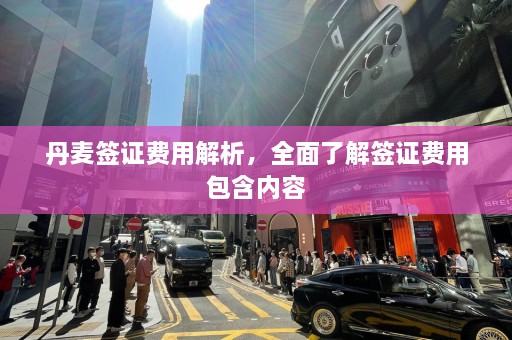 丹麦签证费用解析，全面了解签证费用包含内容