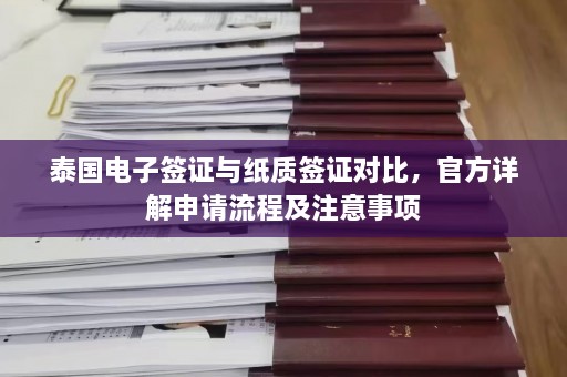 泰国电子签证与纸质签证对比， *** 详解申请流程及注意事项