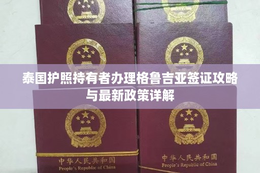 泰国护照持有者办理格鲁吉亚签证攻略与最新政策详解