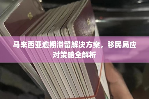 马来西亚逾期滞留解决方案，移民局应对策略全解析