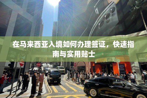 在马来西亚入境如何办理签证，快速指南与实用贴士