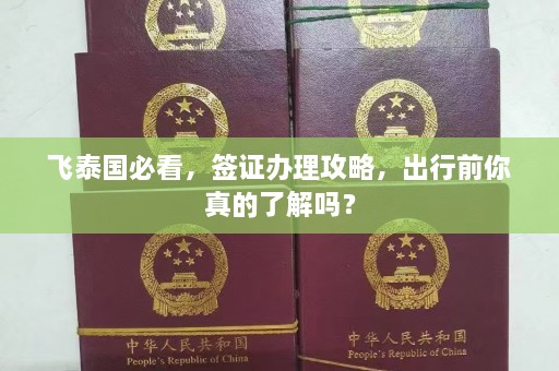 飞泰国必看，签证办理攻略，出行前你真的了解吗？