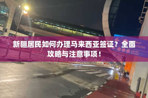 新疆居民如何办理马来西亚签证？全面攻略与注意事项！