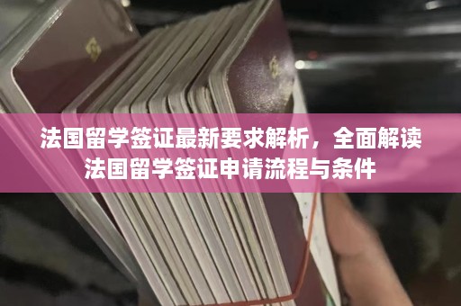 法国留学签证最新要求解析，全面解读法国留学签证申请流程与条件