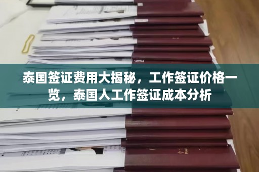 泰国签证费用大揭秘，工作签证价格一览，泰国人工作签证成本分析