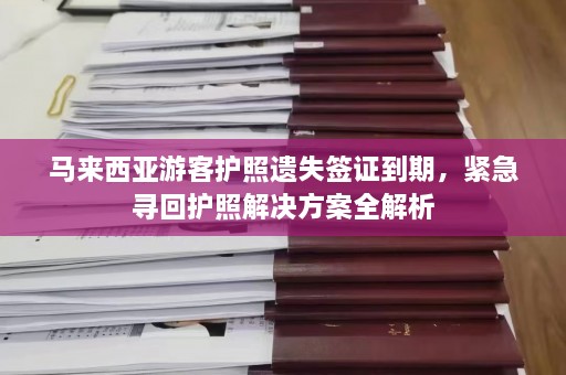 马来西亚游客护照遗失签证到期，紧急寻回护照解决方案全解析