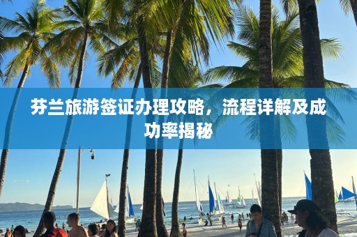 芬兰旅游签证办理攻略，流程详解及成功率揭秘