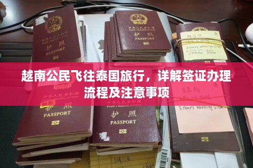 越南公民飞往泰国旅行，详解签证办理流程及注意事项