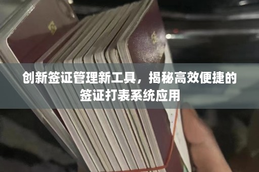 创新签证管理新工具，揭秘高效便捷的签证打表系统应用