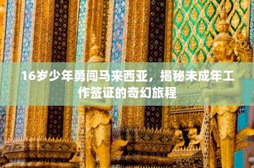 16岁少年勇闯马来西亚，揭秘未成年工作签证的奇幻旅程