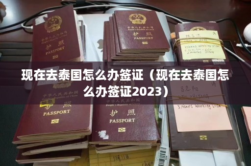 现在去泰国怎么办签证（现在去泰国怎么办签证2023）