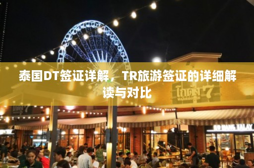 泰国DT签证详解，TR旅游签证的详细解读与对比