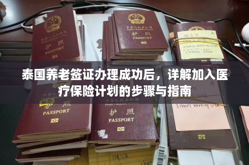 泰国养老签证办理成功后，详解加入医疗保险计划的步骤与指南