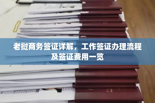 老挝商务签证详解，工作签证办理流程及签证费用一览