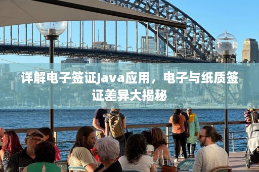 详解电子签证Java应用，电子与纸质签证差异大揭秘