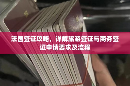 法国签证攻略，详解旅游签证与商务签证申请要求及流程