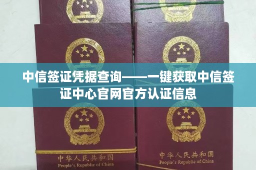 中信签证凭据查询——一键获取中信签证中心官网官方认证信息