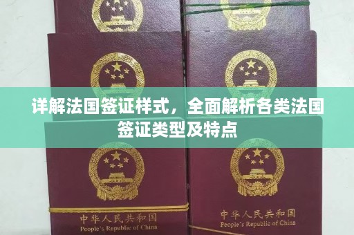 详解法国签证样式，全面解析各类法国签证类型及特点