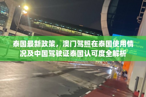 泰国最新政策，澳门驾照在泰国使用情况及中国驾驶证泰国认可度全解析