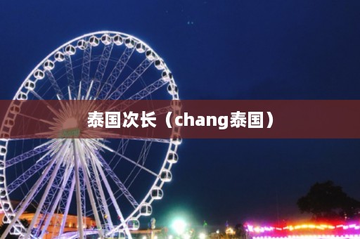 泰国次长（chang泰国）