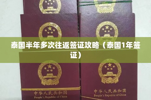 泰国半年多次往返签证攻略（泰国1年签证）  第1张