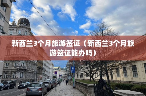 新西兰3个月旅游签证（新西兰3个月旅游签证能办吗）