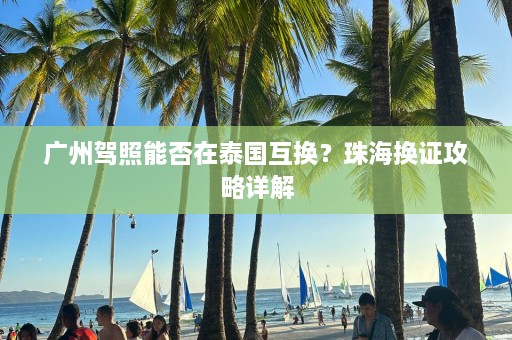 广州驾照能否在泰国互换？珠海换证攻略详解