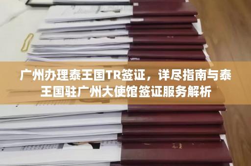 广州办理泰王国TR签证，详尽指南与泰王国驻广州大使馆签证服务解析