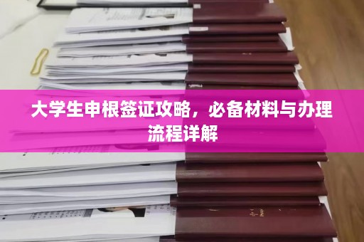 大学生申根签证攻略，必备材料与办理流程详解